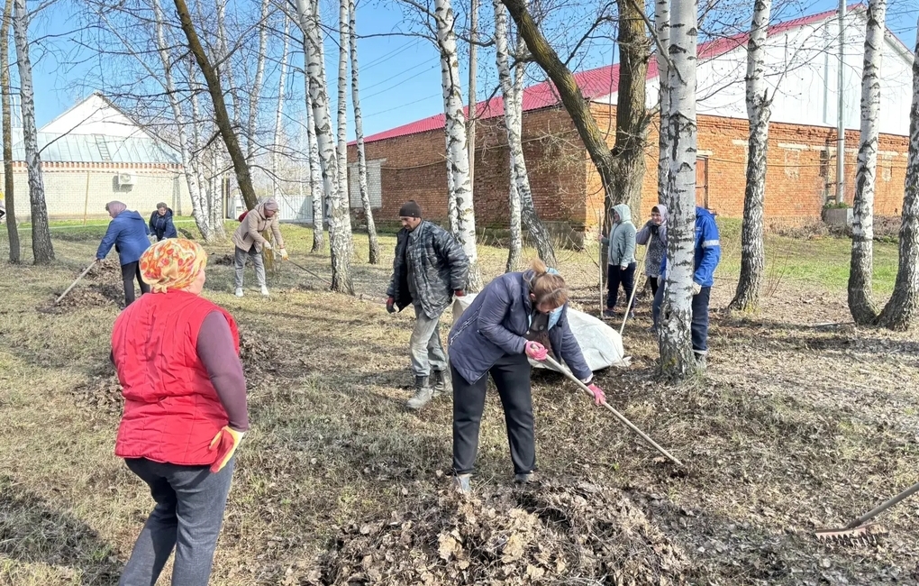 Мешки мусора и кучи листвы: саратовцы убирают памятники, водоемы и скверы
